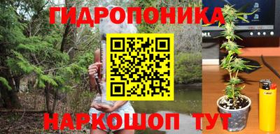 гидропоника Коммунар