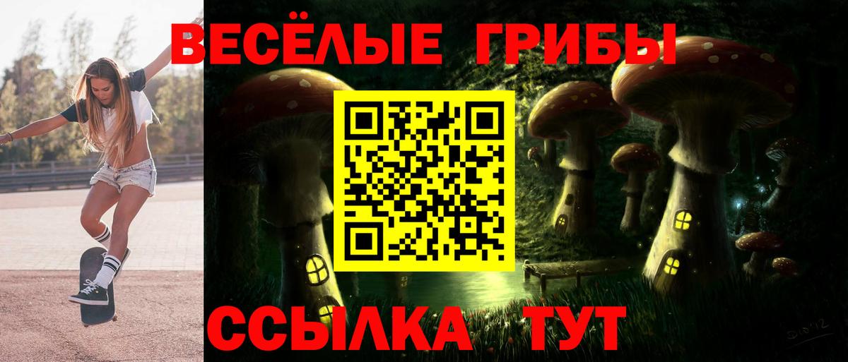 Галлюциногенные грибы GOLDEN TEACHER Касимов